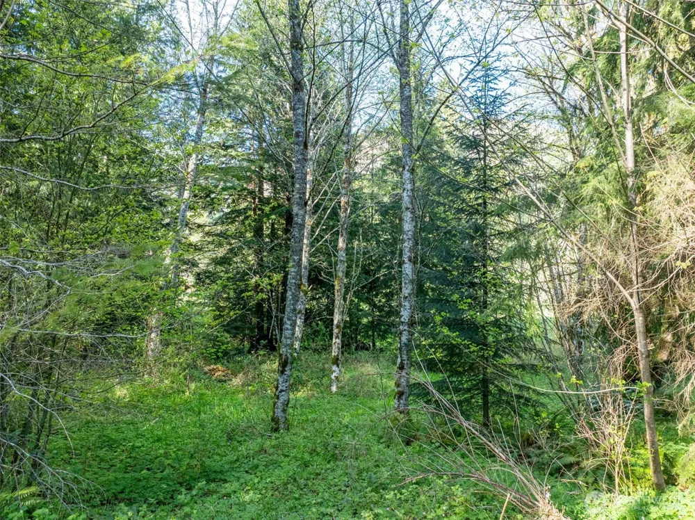 0 Davis Lake Road Morton, WA 98356