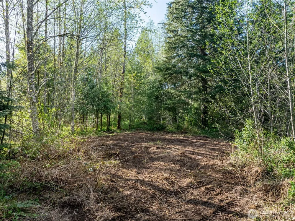 0 Davis Lake Road Morton, WA 98356