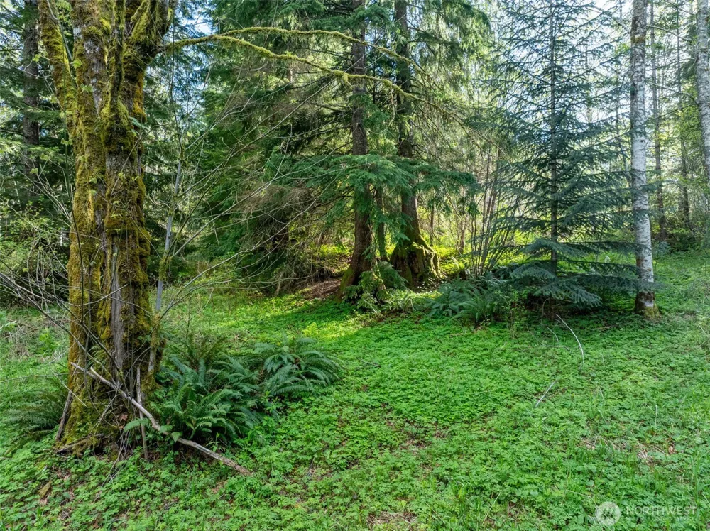 0 Davis Lake Road Morton, WA 98356