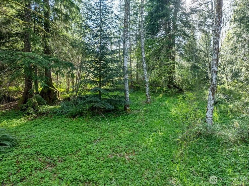 0 Davis Lake Road Morton, WA 98356