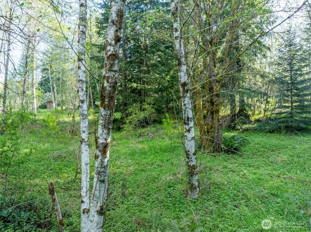 0 Davis Lake Road Morton, WA 98356