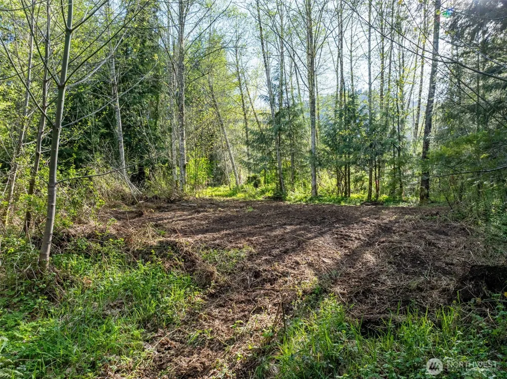 0 Davis Lake Road Morton, WA 98356