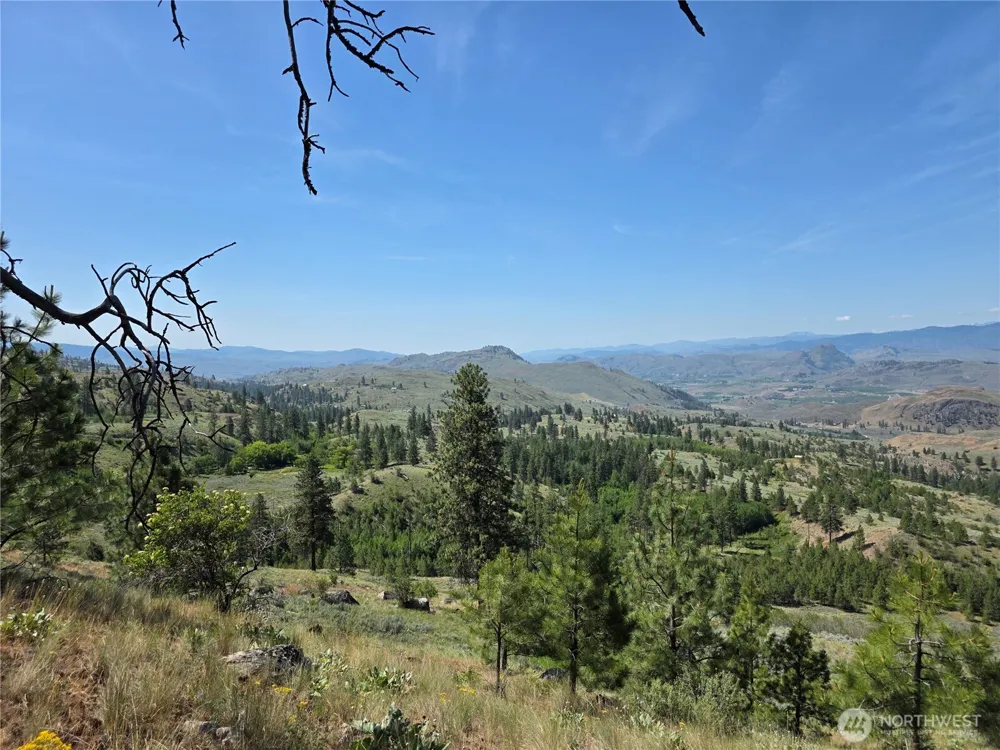 431 J Swanson Hill Road Tonasket, WA 98855