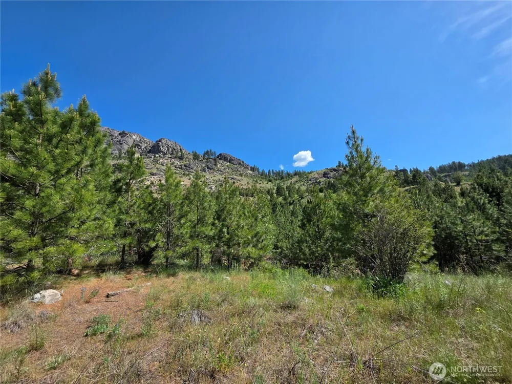 431 J Swanson Hill Road Tonasket, WA 98855