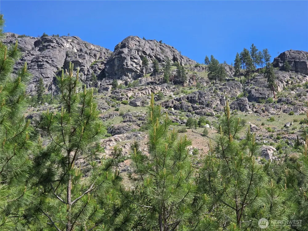 431 J Swanson Hill Road Tonasket, WA 98855