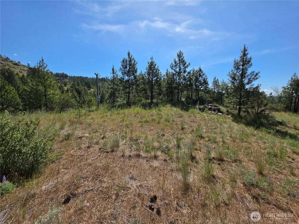 431 J Swanson Hill Road Tonasket, WA 98855