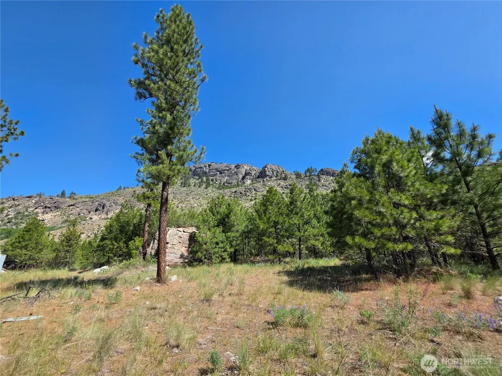 431 J Swanson Hill Road Tonasket, WA 98855