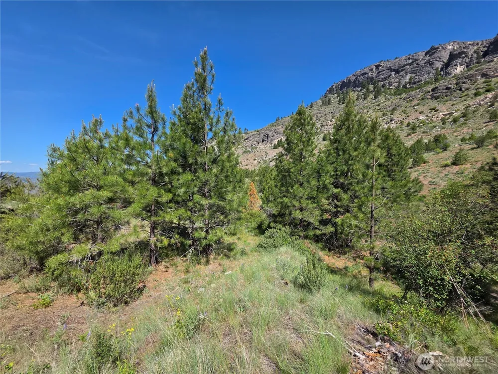 431 J Swanson Hill Road Tonasket, WA 98855