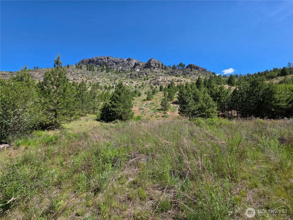 431 J Swanson Hill Road Tonasket, WA 98855