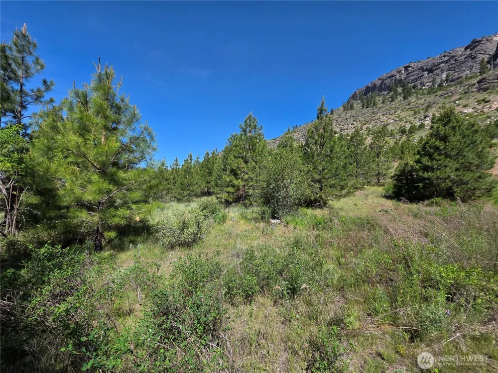 431 J Swanson Hill Road Tonasket, WA 98855
