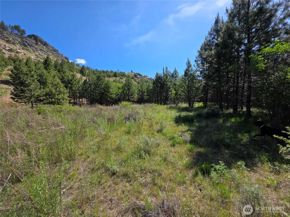 431 J Swanson Hill Road Tonasket, WA 98855