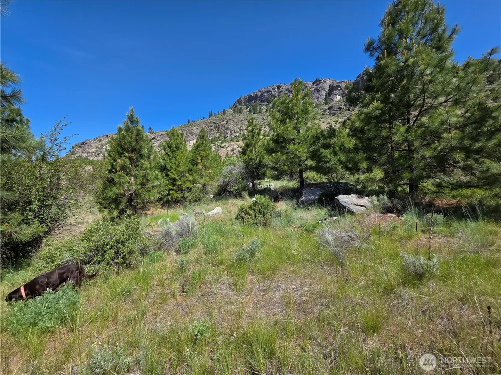 431 J Swanson Hill Road Tonasket, WA 98855