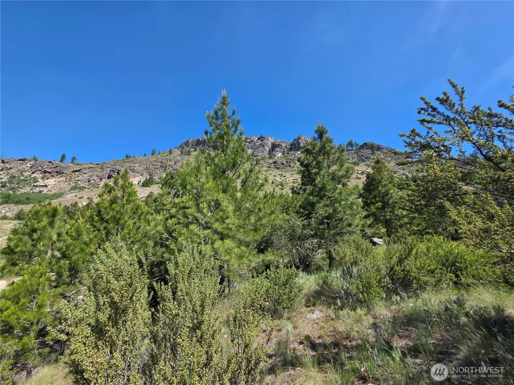 431 J Swanson Hill Road Tonasket, WA 98855