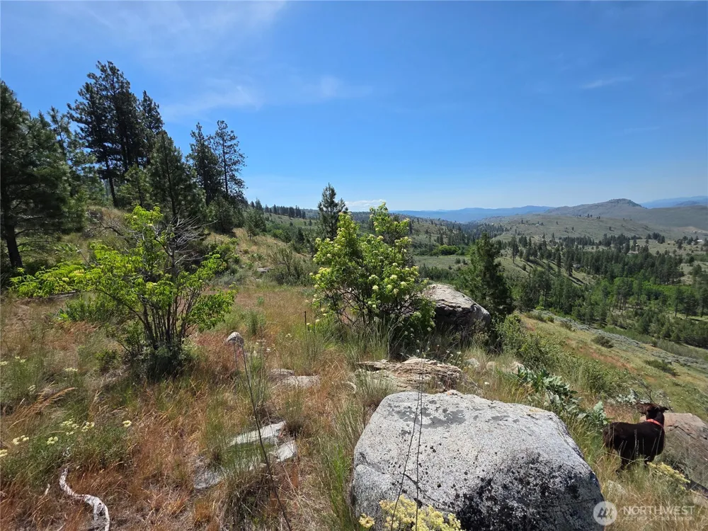 431 J Swanson Hill Road Tonasket, WA 98855