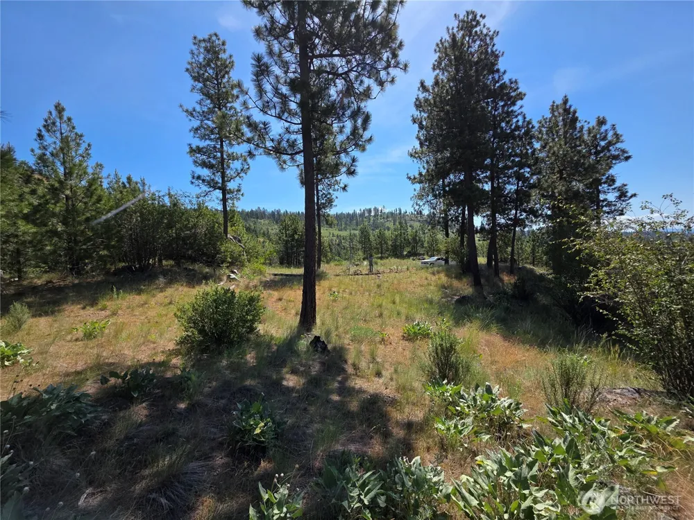 431 J Swanson Hill Road Tonasket, WA 98855