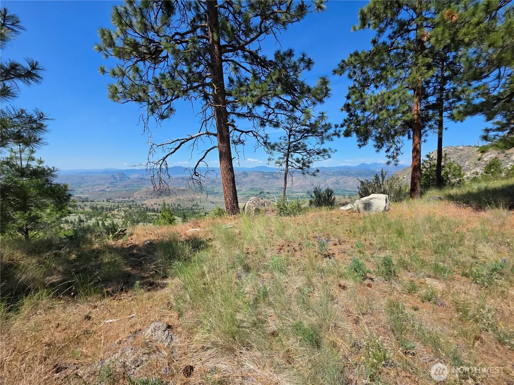 431 J Swanson Hill Road Tonasket, WA 98855
