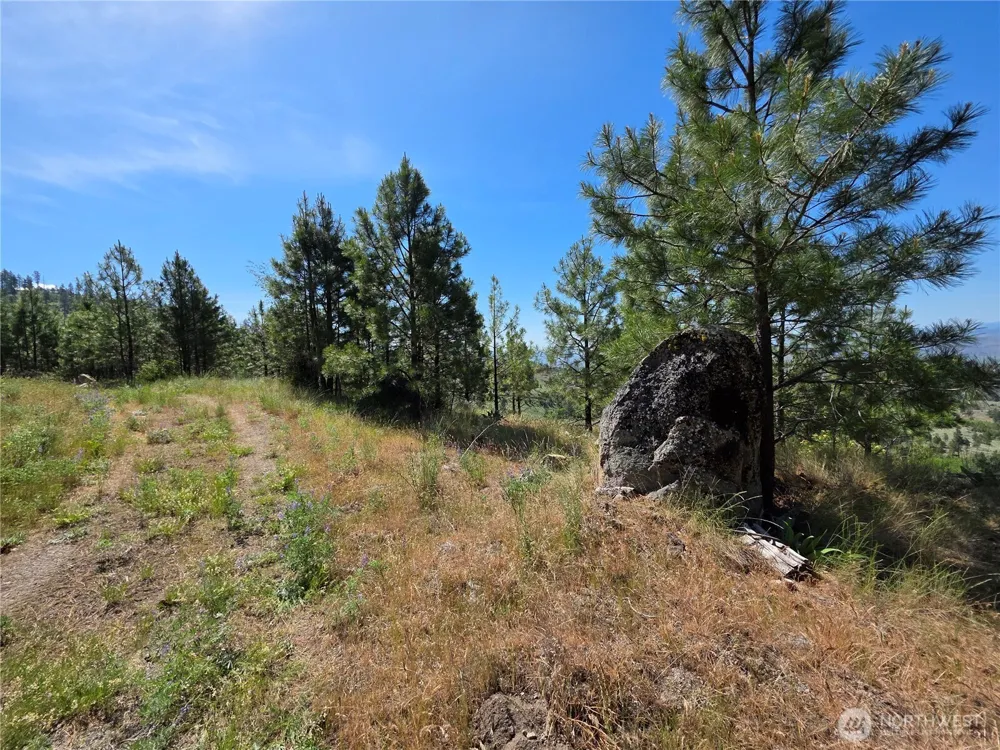431 J Swanson Hill Road Tonasket, WA 98855