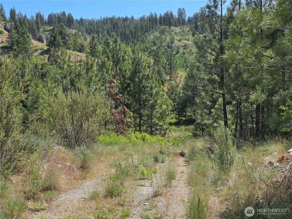 431 J Swanson Hill Road Tonasket, WA 98855