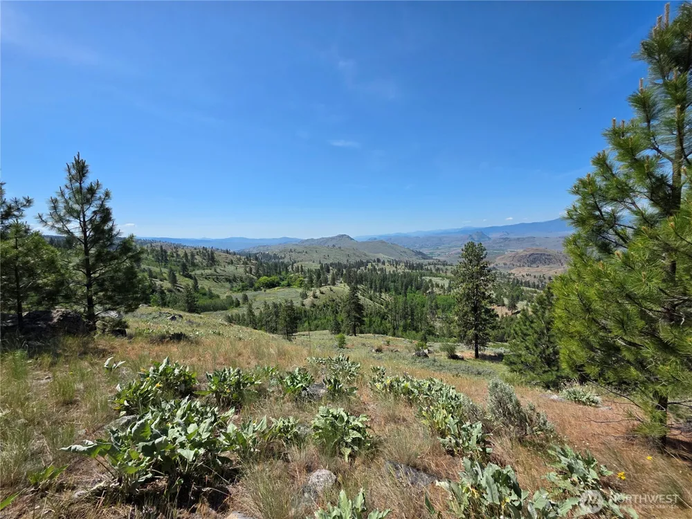 431 J Swanson Hill Road Tonasket, WA 98855