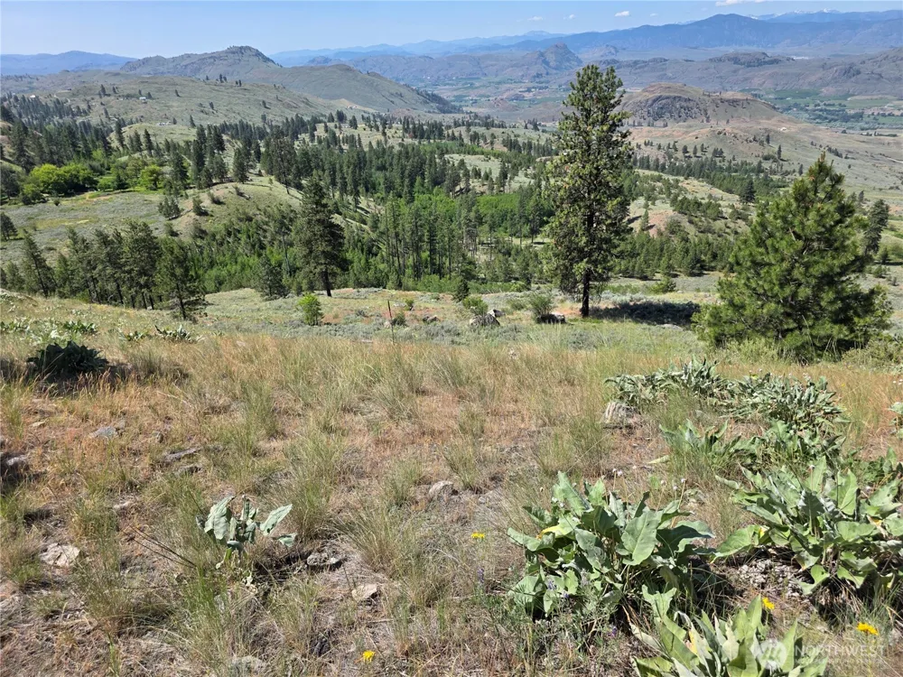 431 J Swanson Hill Road Tonasket, WA 98855
