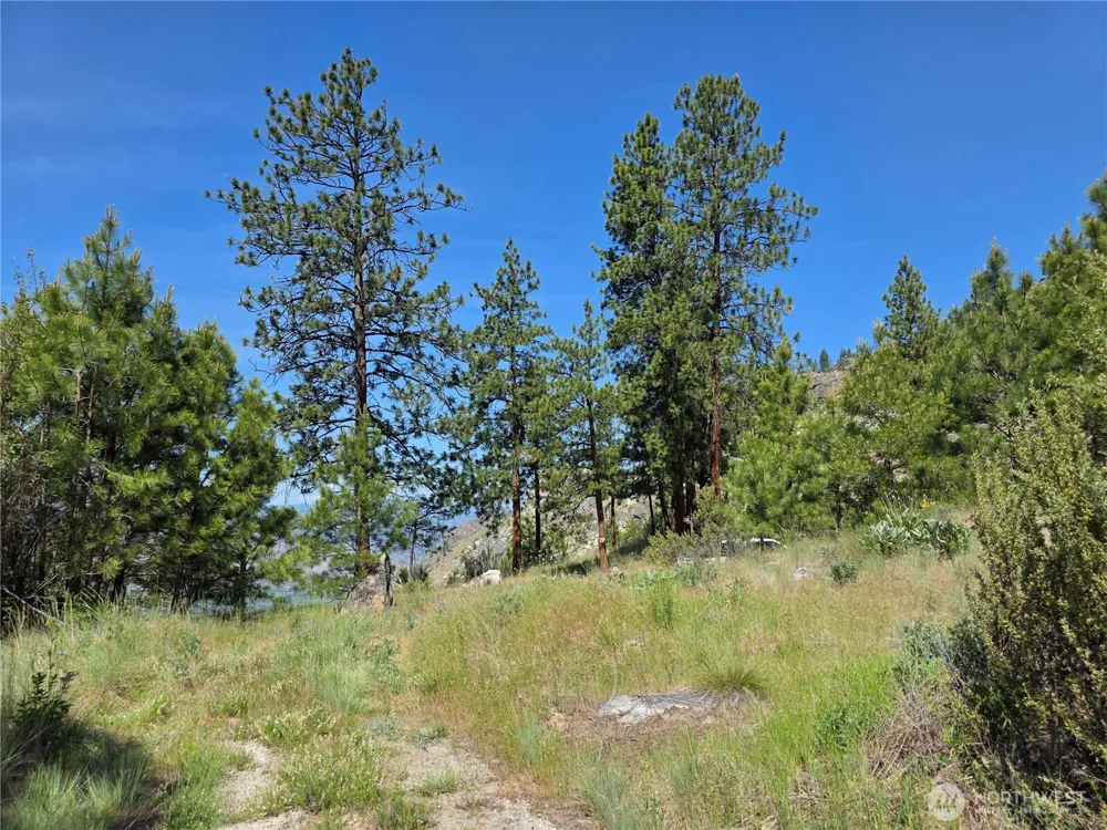 431 J Swanson Hill Road Tonasket, WA 98855