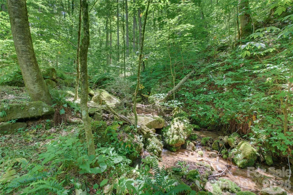112 Boulder Creek Lane Tuckasegee, NC 28783