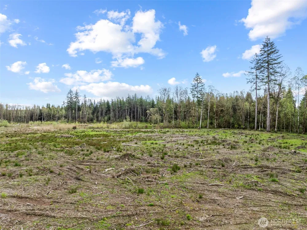 4949 Jackson Highway Toledo, WA 98591