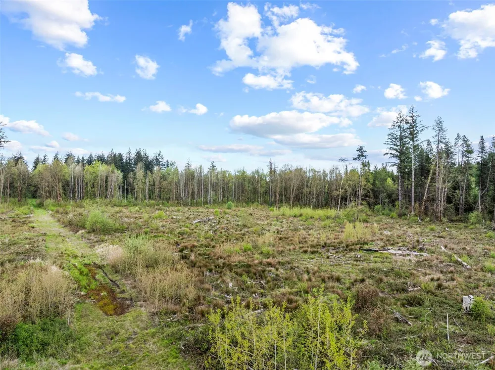 4949 Jackson Highway Toledo, WA 98591