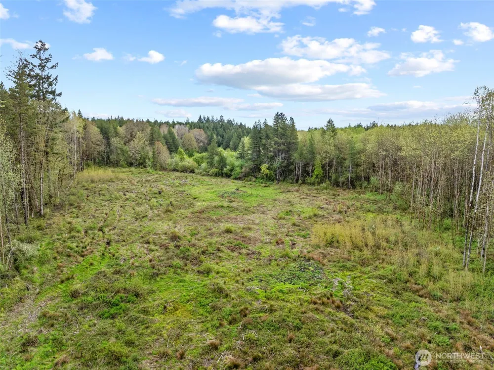 4949 Jackson Highway Toledo, WA 98591
