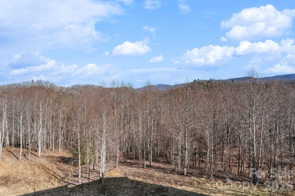 171 Pleasant View Drive Vilas, NC 28692
