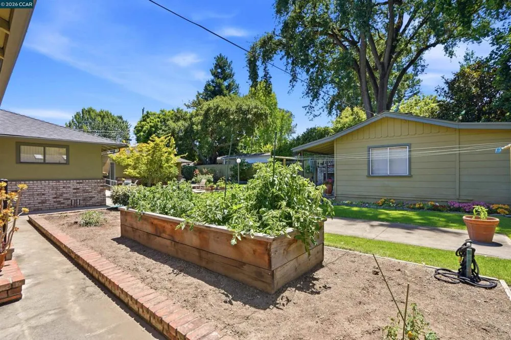 306 W Prospect Ave. Danville, CA 94526