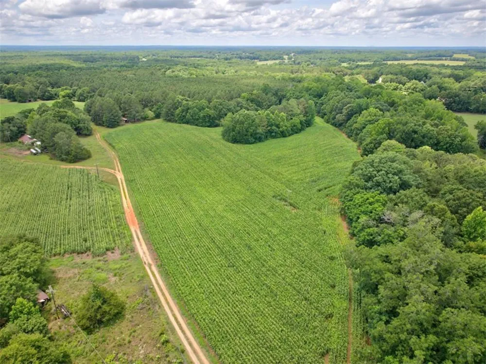 0 Marks Road Mansfield, GA 30055