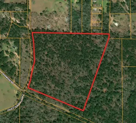 31 Lilley Yeager Loop