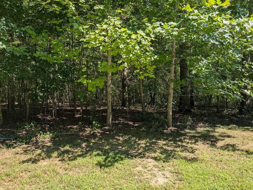 140 Sunset Bluff Way Monteagle, TN 37356