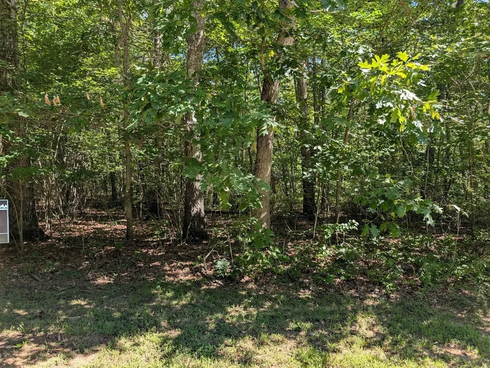 140 Sunset Bluff Way Monteagle, TN 37356