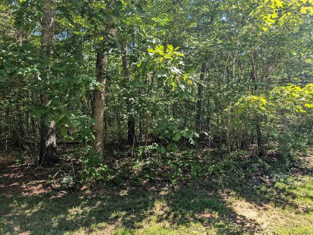 140 Sunset Bluff Way Monteagle, TN 37356