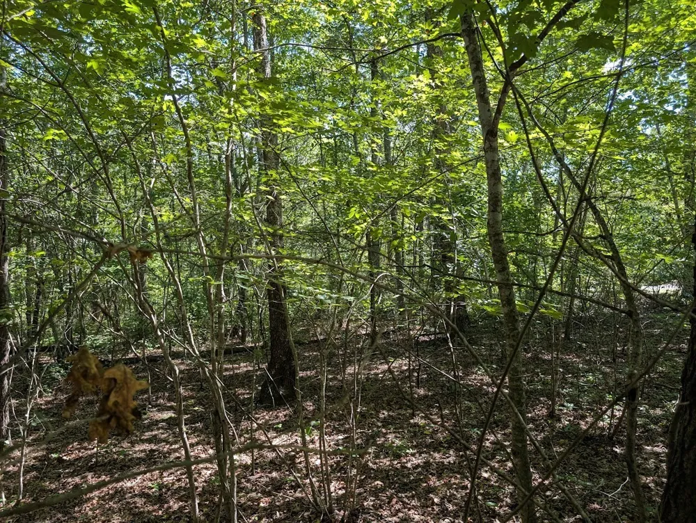 140 Sunset Bluff Way Monteagle, TN 37356