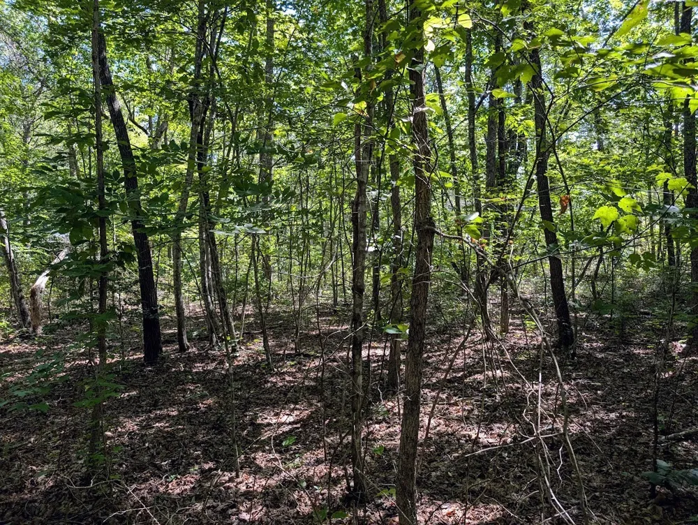 140 Sunset Bluff Way Monteagle, TN 37356