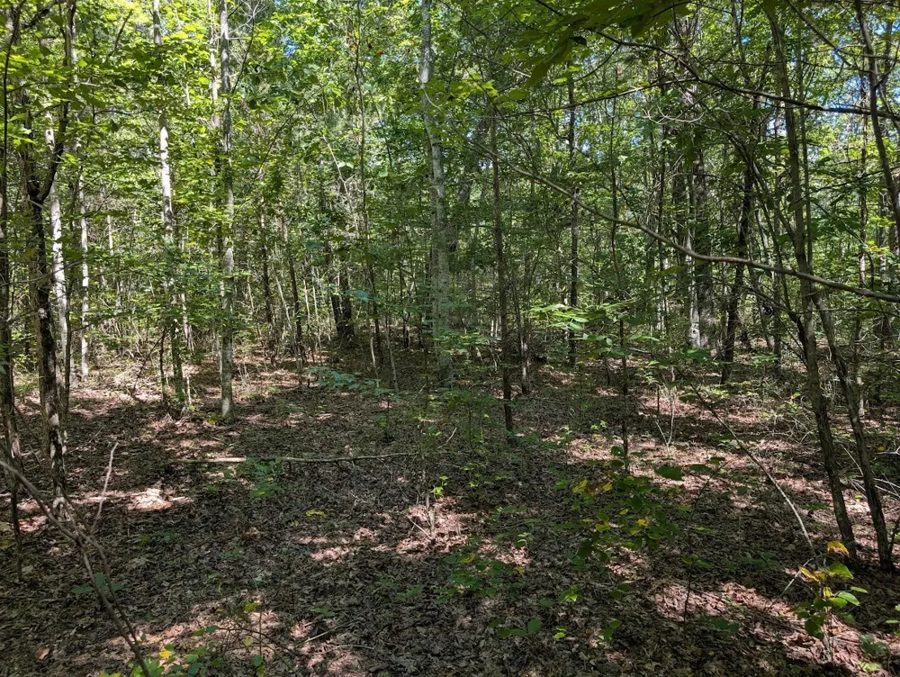 140 Sunset Bluff Way Monteagle, TN 37356
