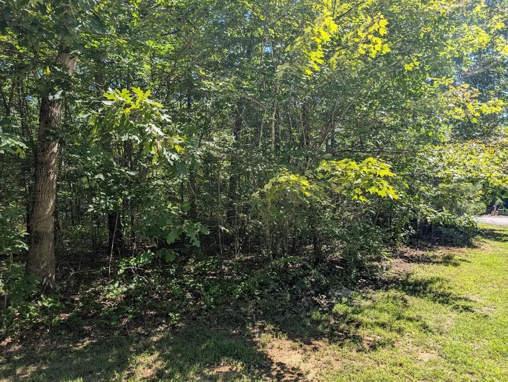 140 Sunset Bluff Way Monteagle, TN 37356