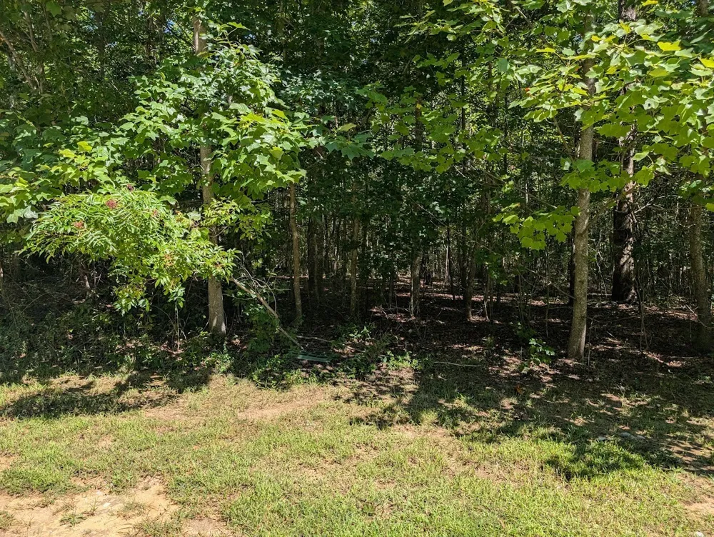 140 Sunset Bluff Way Monteagle, TN 37356