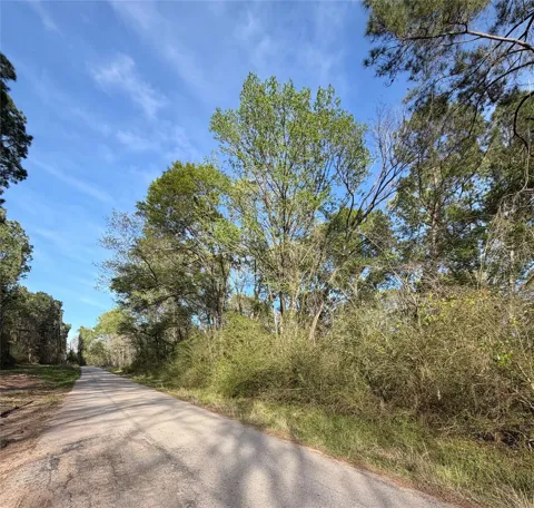 Jackson Road