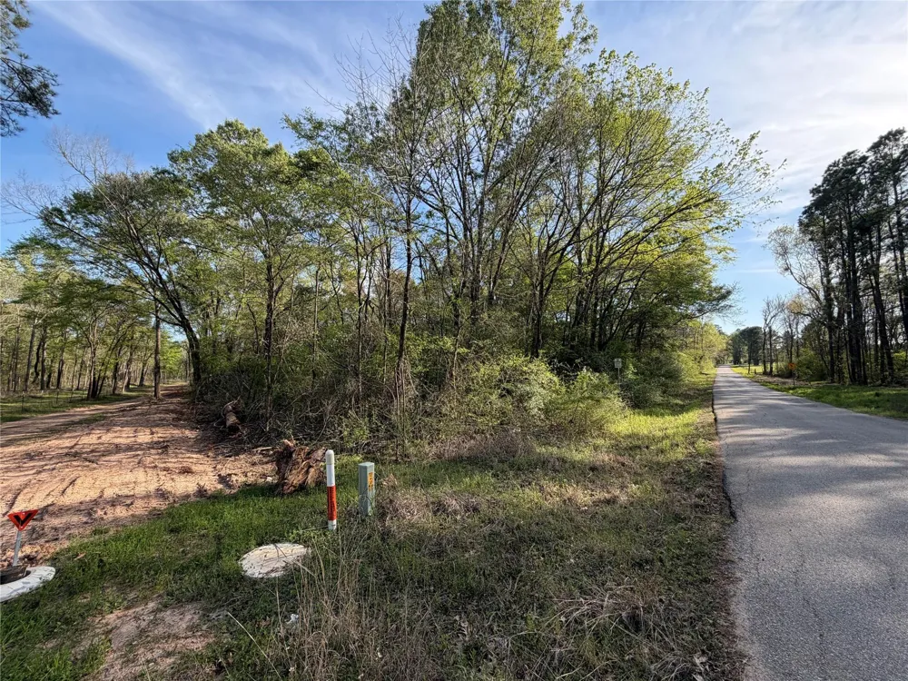 Jackson Road Coldspring, TX 77331