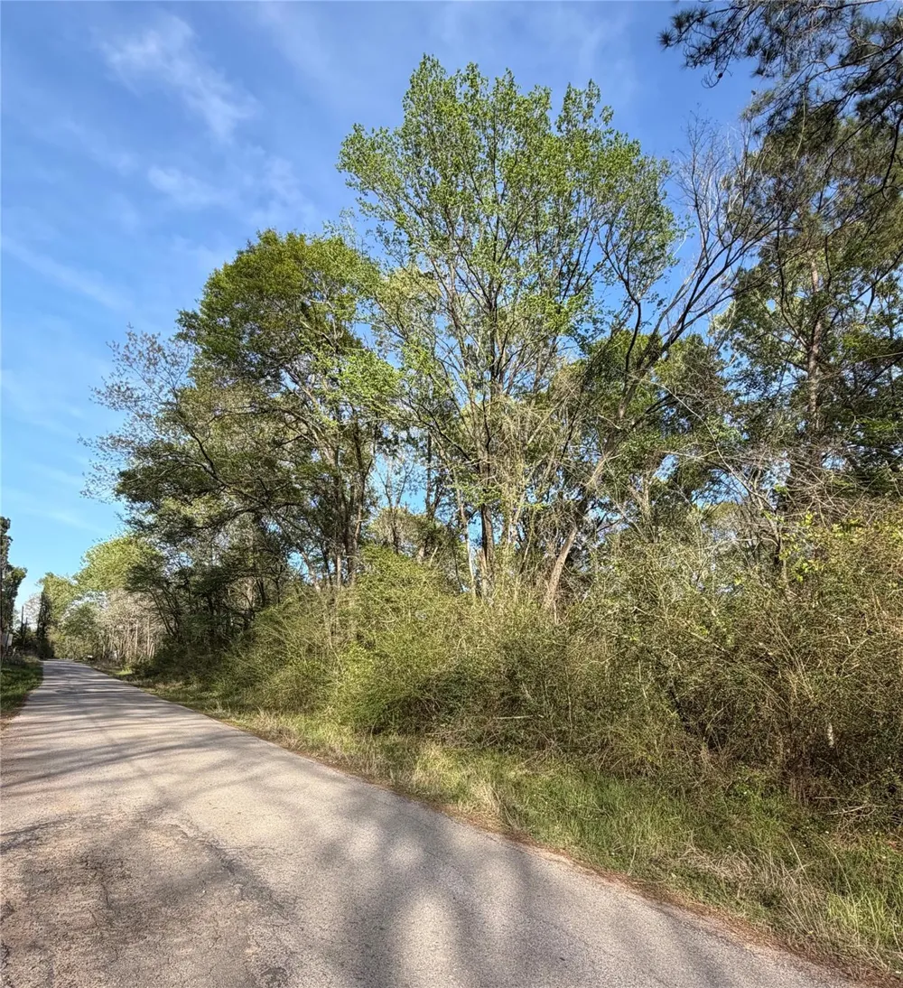 Jackson Road Coldspring, TX 77331