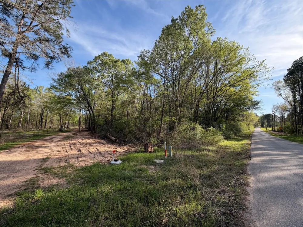 Jackson Road Coldspring, TX 77331