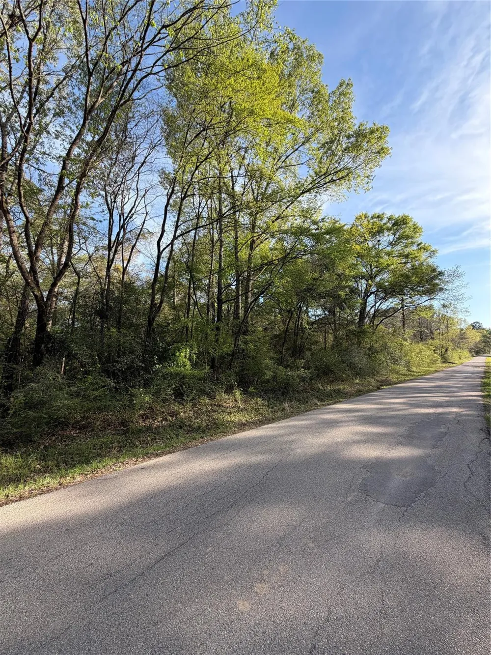 Jackson Road Coldspring, TX 77331