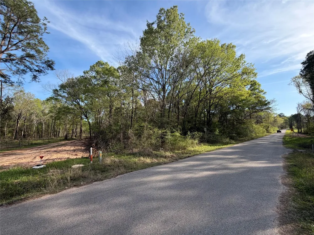Jackson Road Coldspring, TX 77331