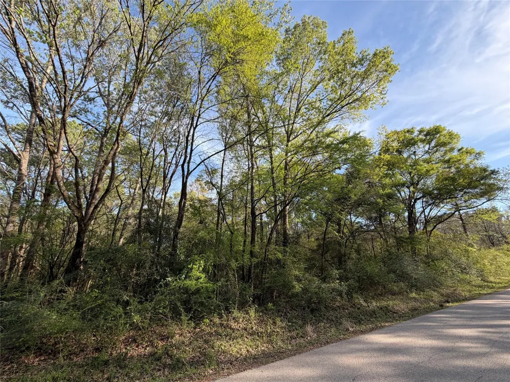 Jackson Road Coldspring, TX 77331
