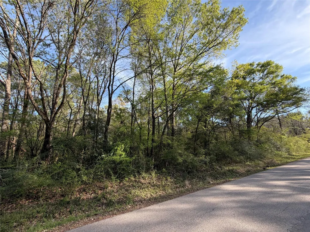 Jackson Road Coldspring, TX 77331