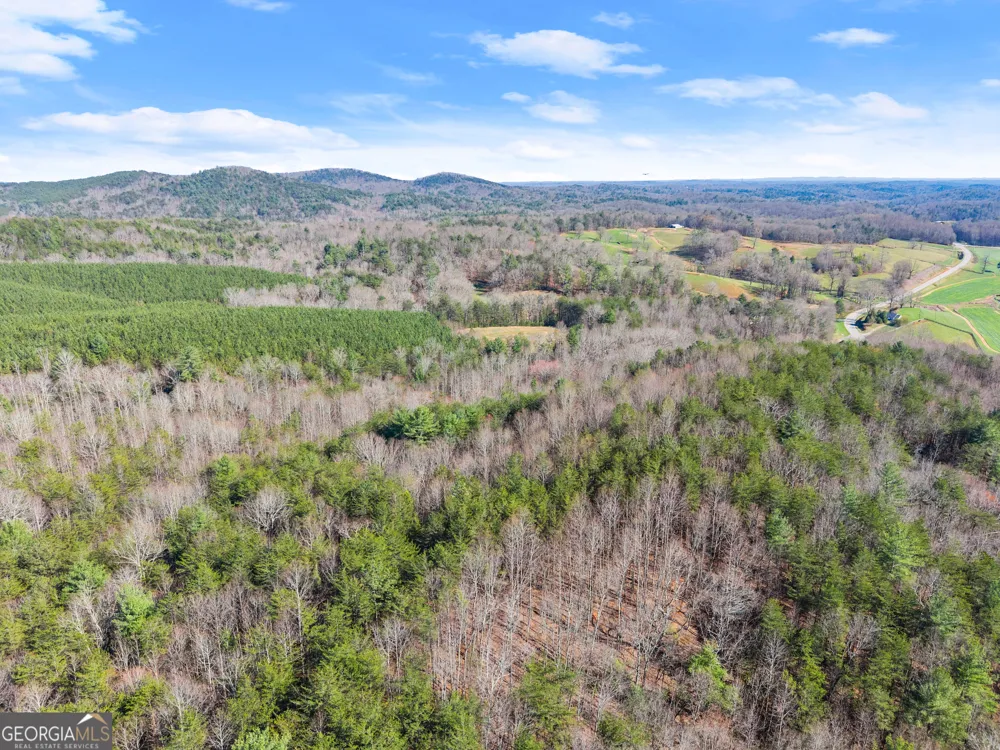 0 Elliott Family PKWY Dawsonville, GA 30534